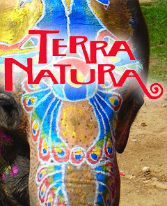 Terra Natura Benidorm  