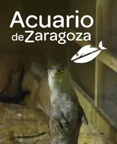 Acuario de Zaragoza
