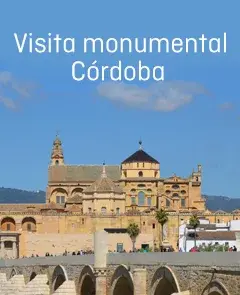 Monumental Visit to Cordoba