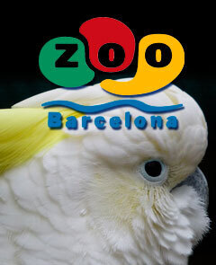 Entradas al Zoo de Barcelona, descubre el lado animal de la ciudad