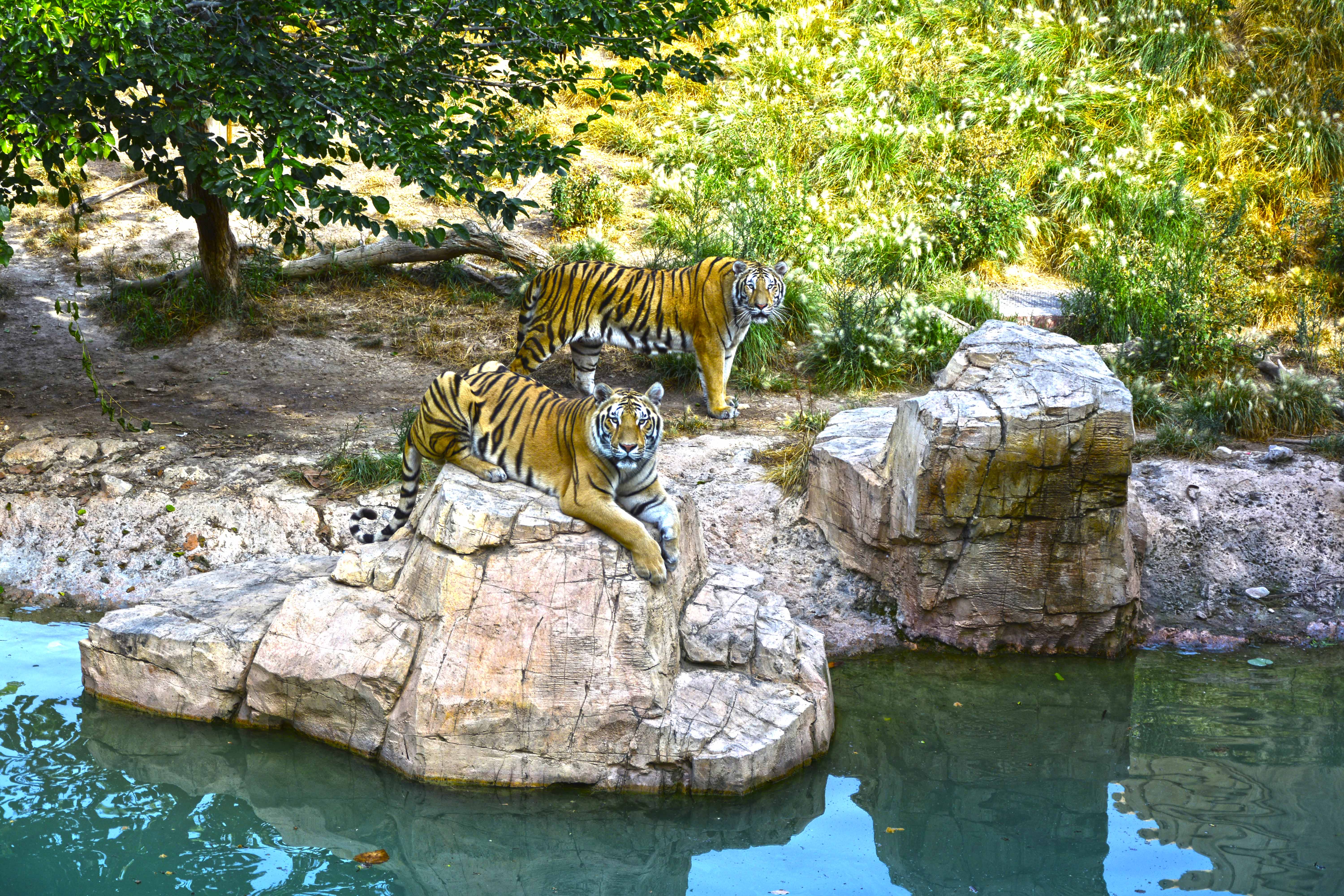 Terra Natura